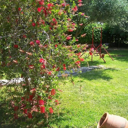 Joanna's Apartamento Lassi (Kefalonia)