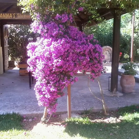Joanna's Λάσση