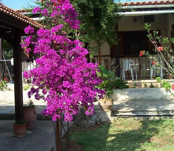 Apartamento Joanna's Lassi (Kefalonia)