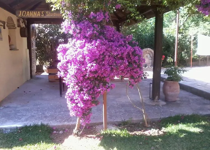 Joanna's Lassi (Kefalonia)