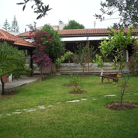 Joanna's * Lassi (Kefalonia)