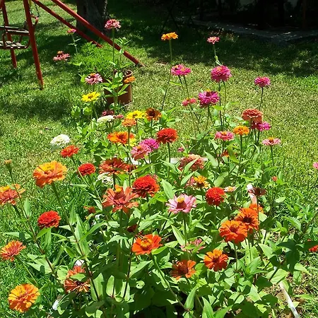 Apartament Joanna's *