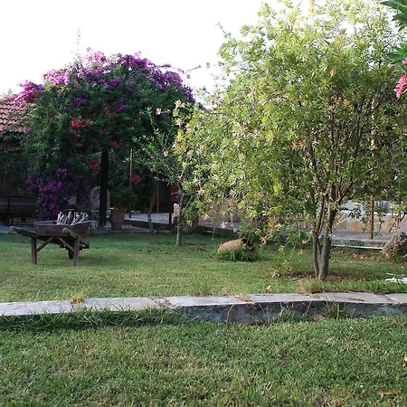 Apartament Joanna's Lassi (Kefalonia)