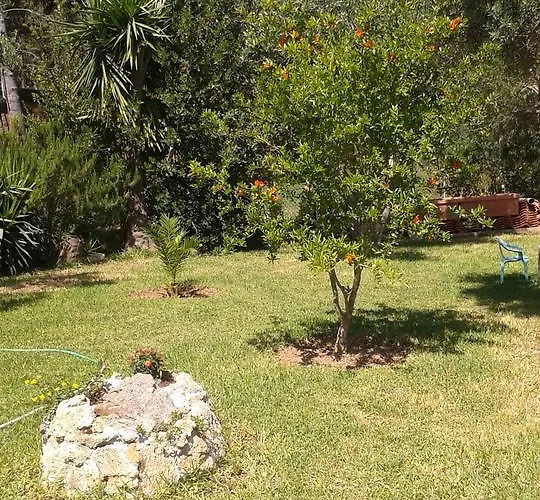 Joanna's * Lassi (Kefalonia)