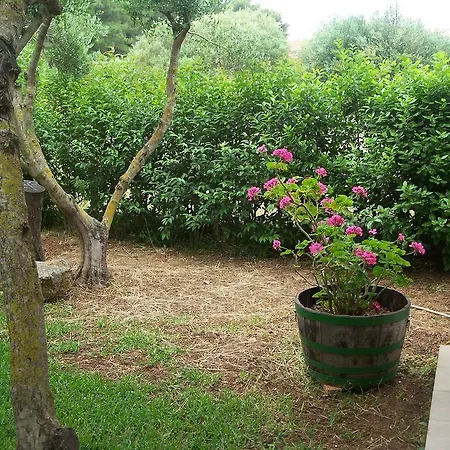 Joanna's Apartamento Lassi (Kefalonia)