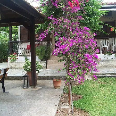 Joanna's Apartamento Lassi (Kefalonia)