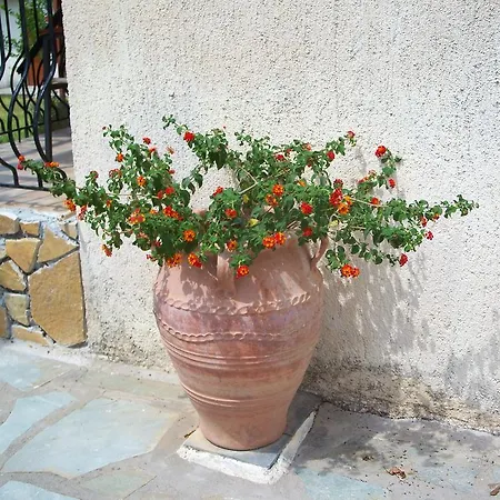 Joanna's Apartamento *