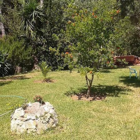 Joanna's * Lassi (Kefalonia)